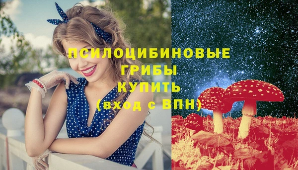 винт Армянск