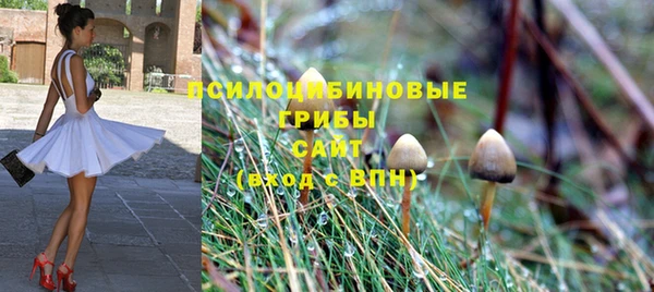 винт Армянск