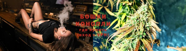 винт Армянск