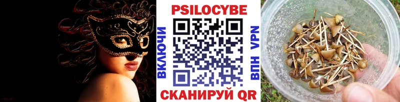 МЕГА как зайти  Рудня  Псилоцибиновые грибы мухоморы  где можно купить  